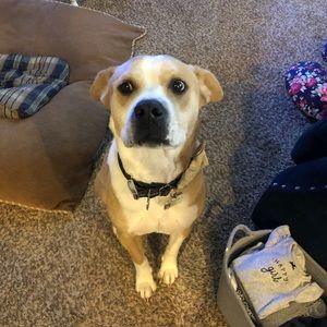 Meet your Posher, Elise